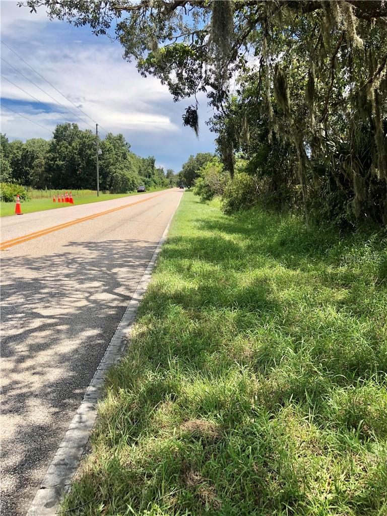  em WINTER GARDEN, FL - Daniel Dourado