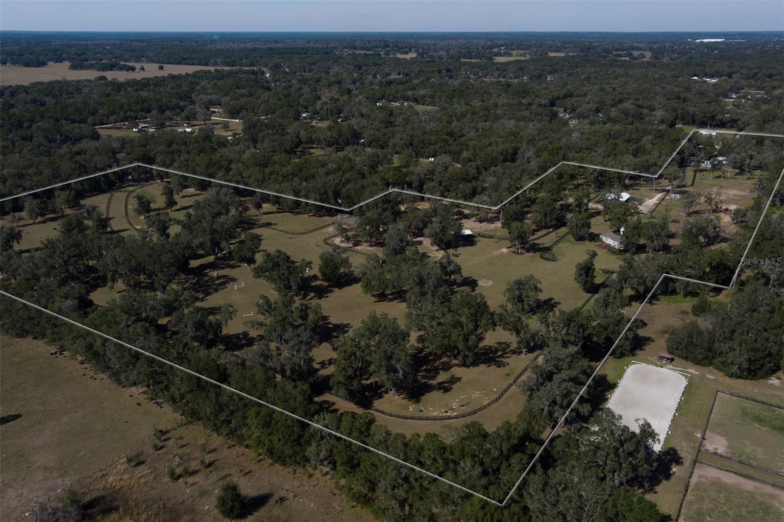 Farm em OCALA, FL - Daniel Dourado