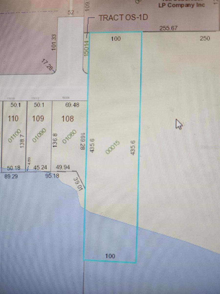  em WINTER GARDEN, FL - Daniel Dourado