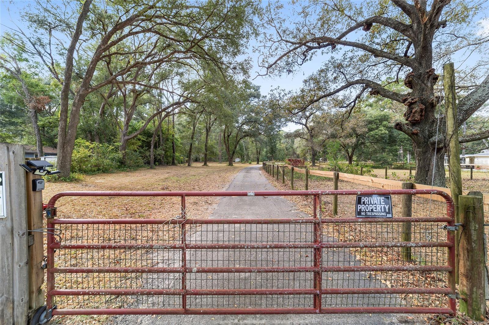  em OCALA, FL - Daniel Dourado