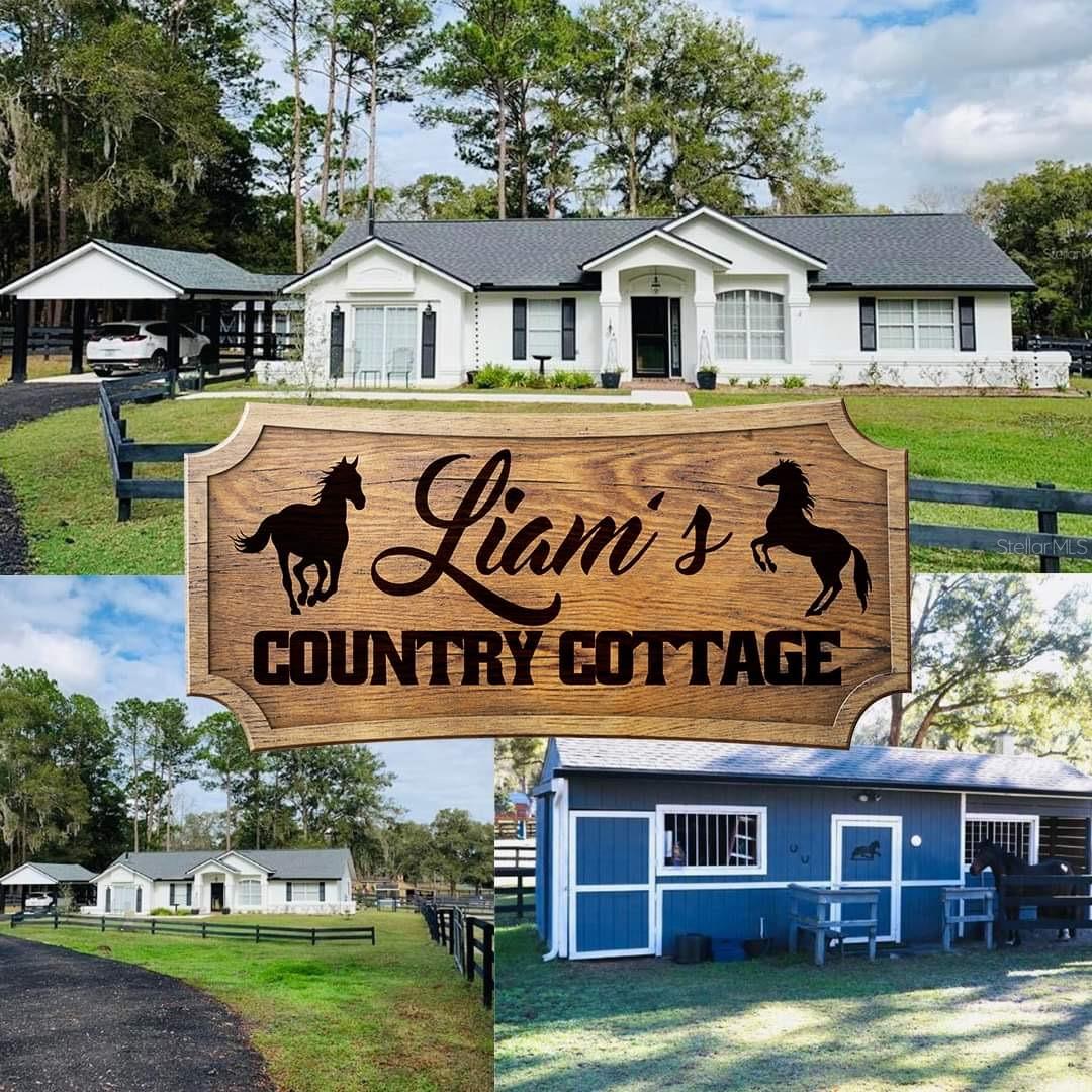 Farm em OCALA, FL - Daniel Dourado