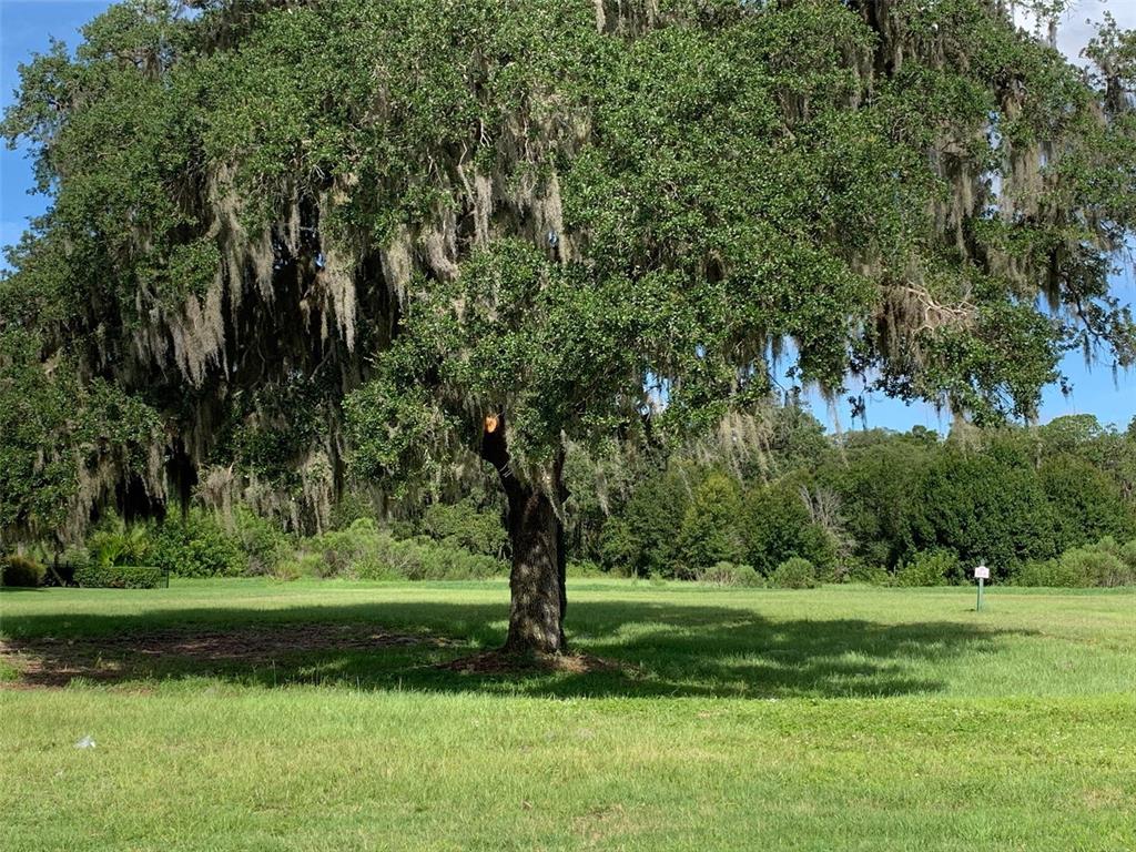  in SARASOTA, FL - Daniel Dourado