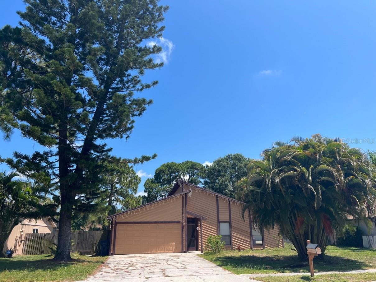 Single Family Residence in SARASOTA, FL - Daniel Dourado