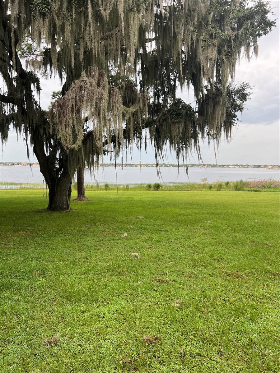  em ORLANDO, FL - Daniel Dourado