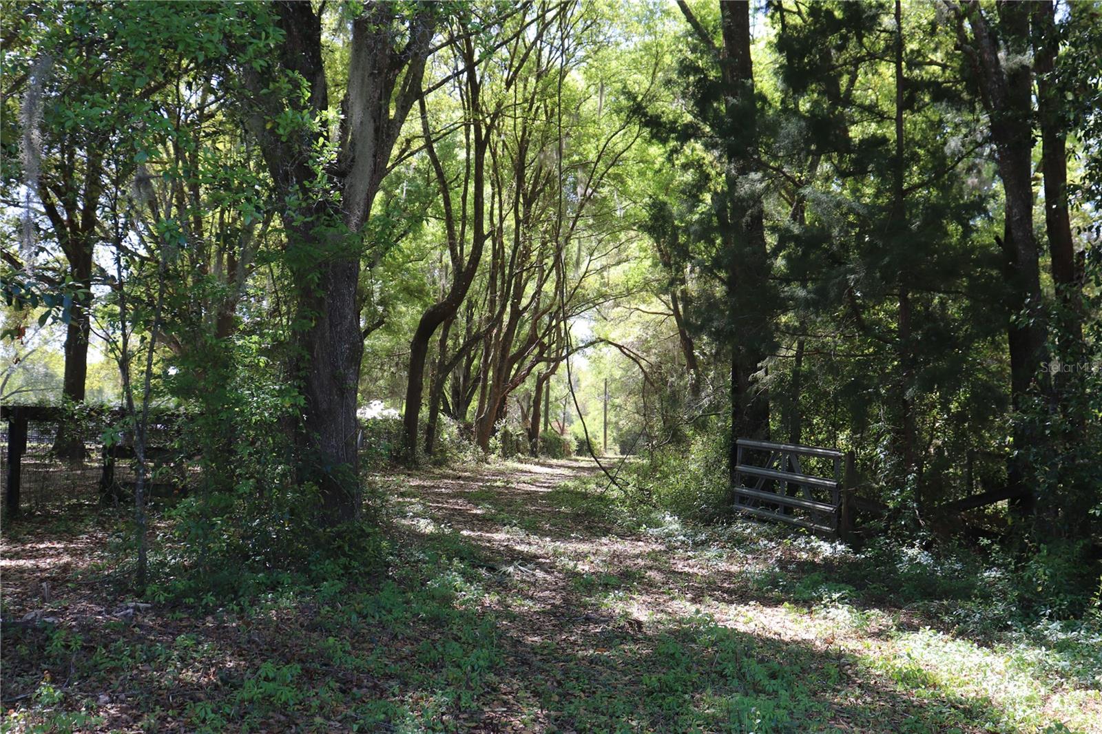  em OCALA, FL - Daniel Dourado